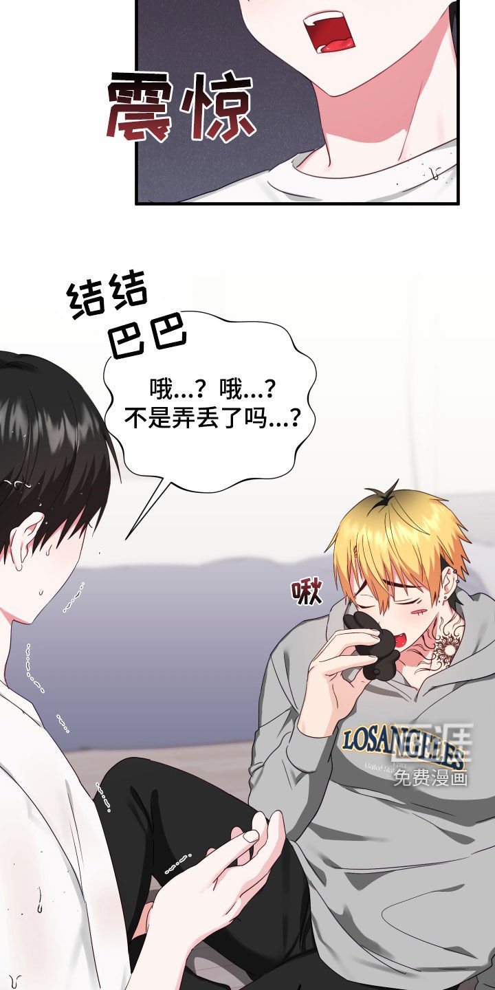第13章：寻找