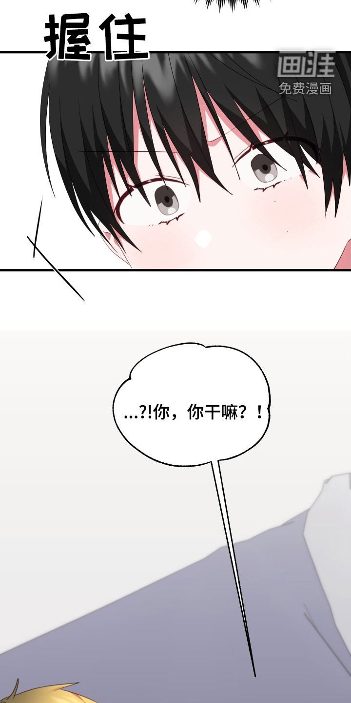 第21章：到底为什么