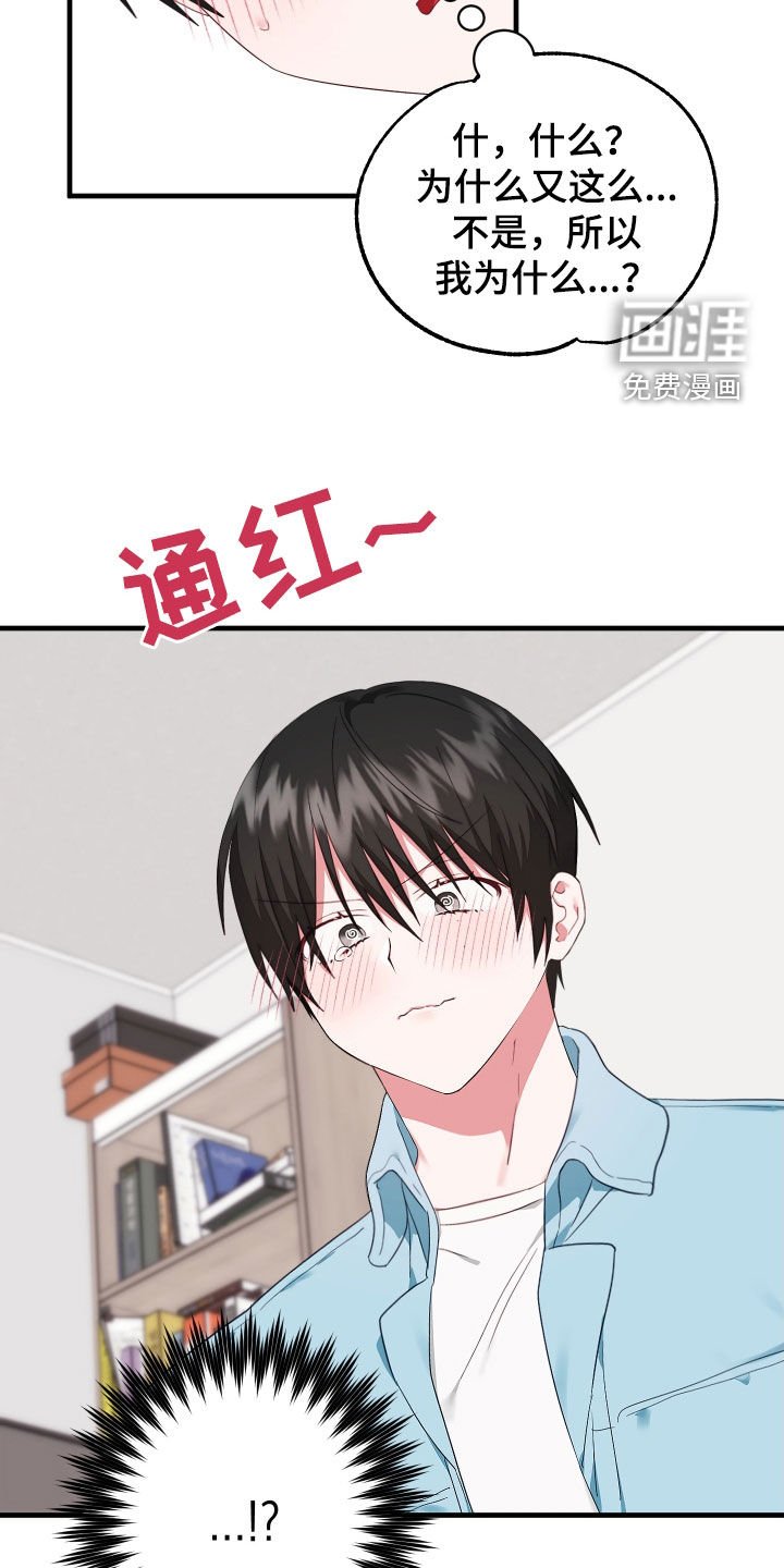 第21章：到底为什么