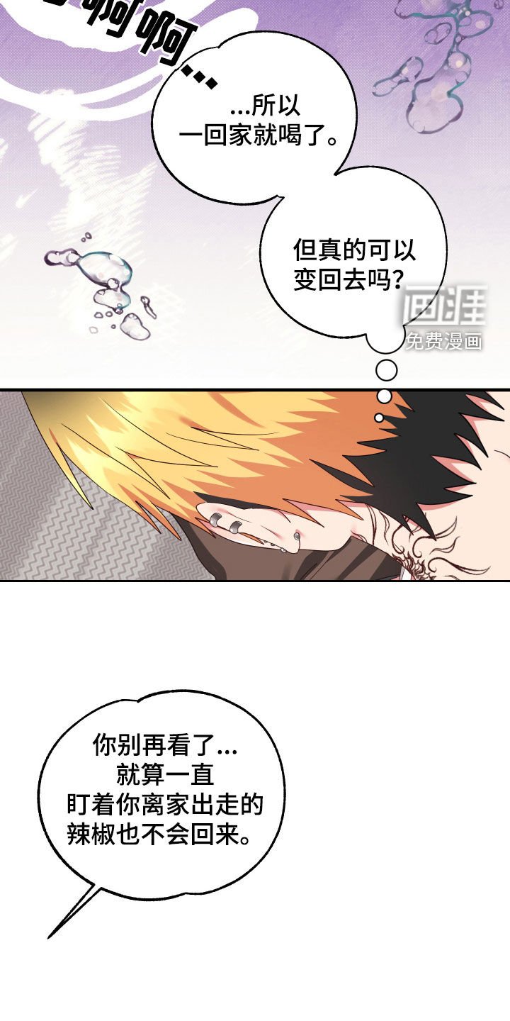 第26章：再遇见