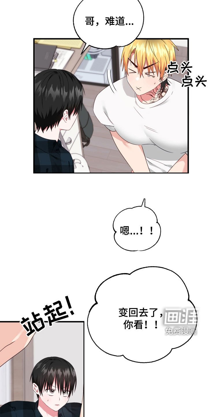 第27章：变回去了