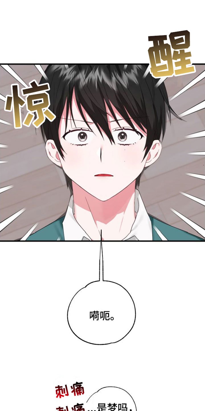 第3章：是梦吧