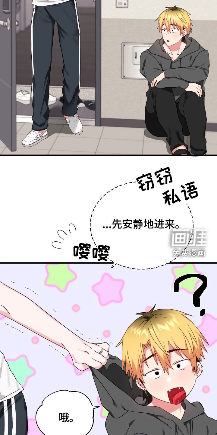 第8章：收留
