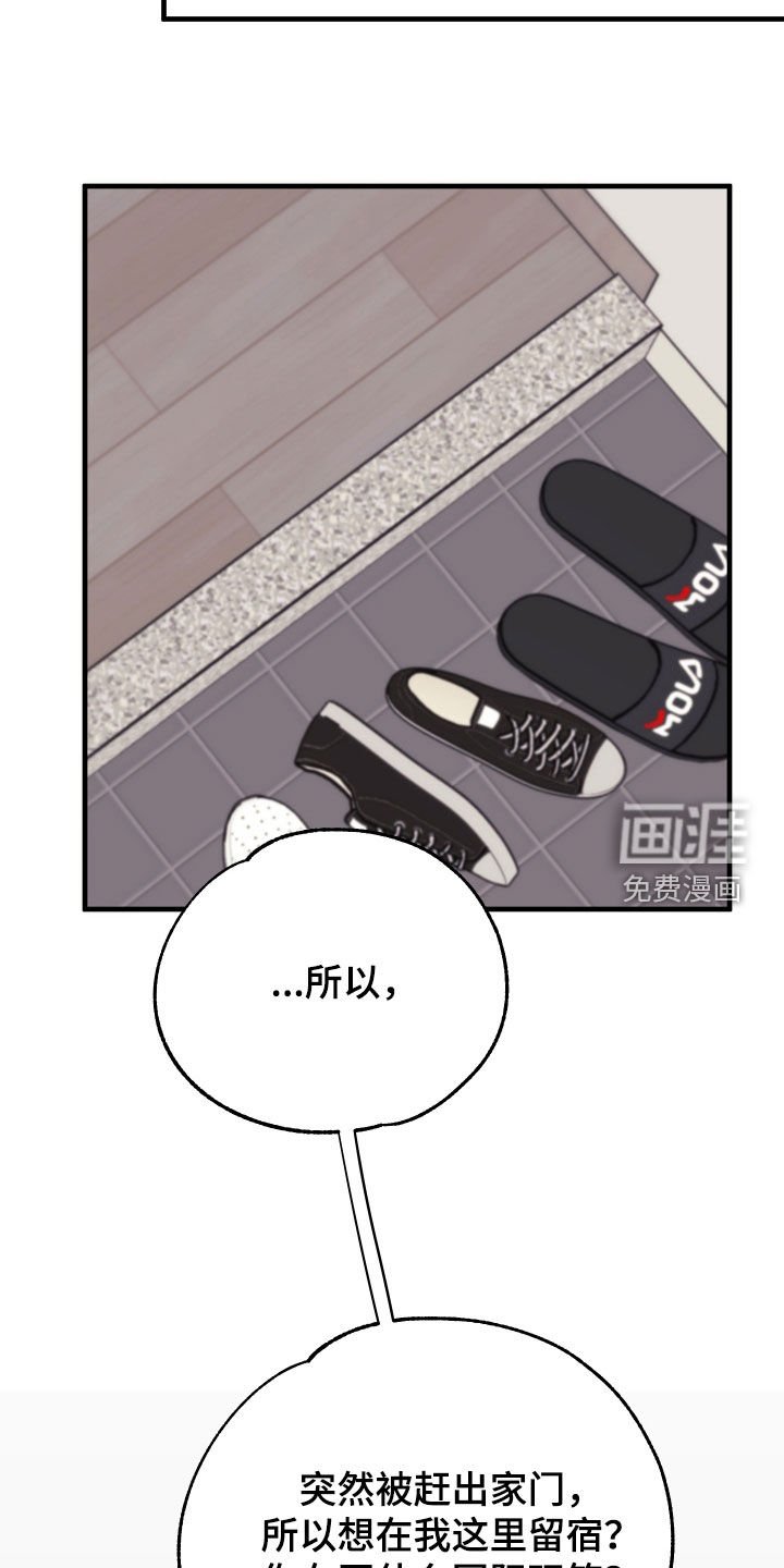 第8章：收留