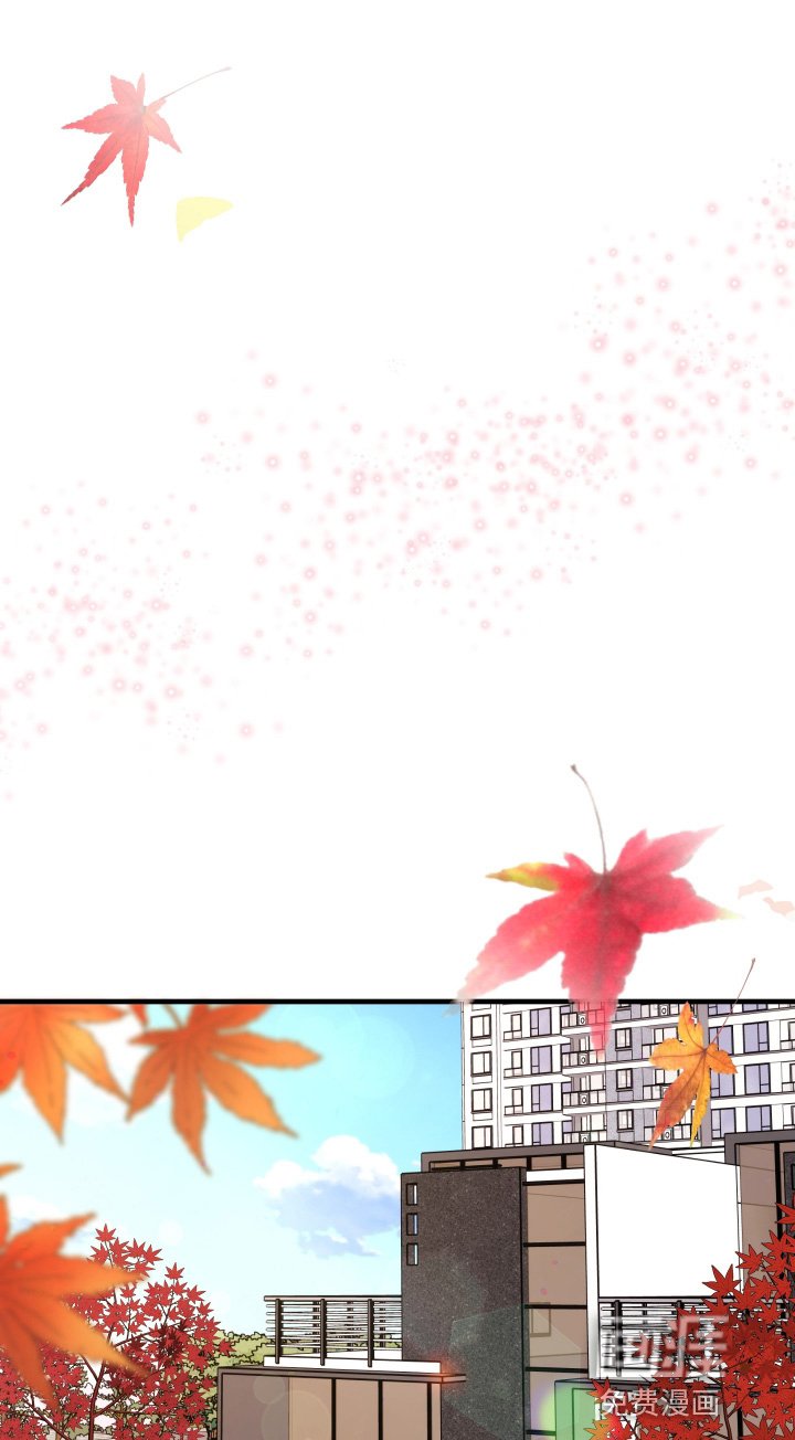 第84章：【第二季】回来了