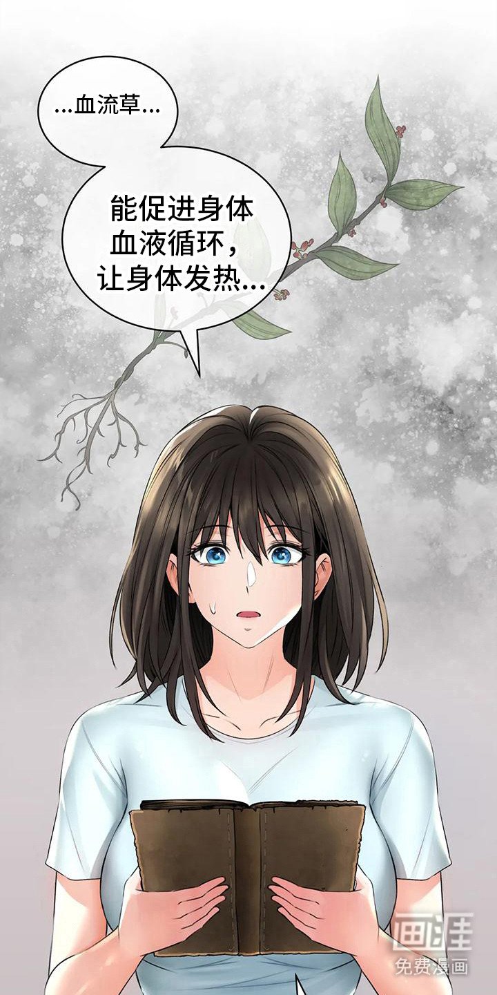 第14章：解释