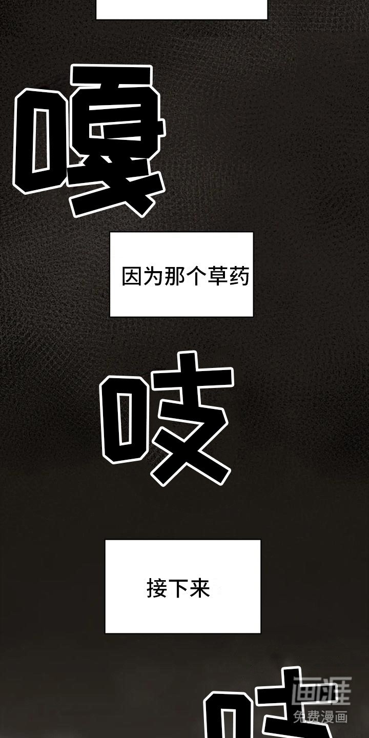 第6章：血流草