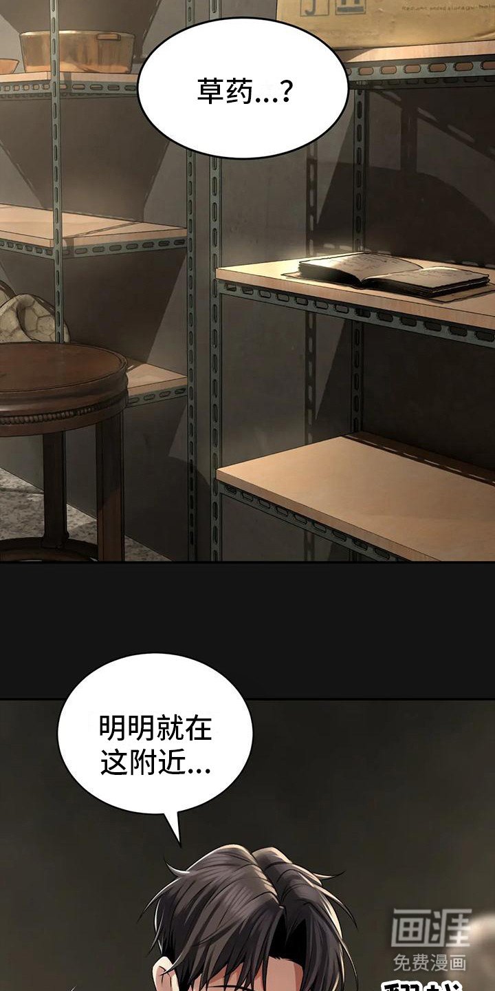 第6章：血流草