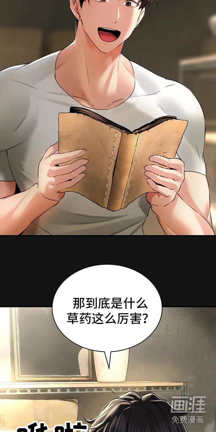 第6章：血流草