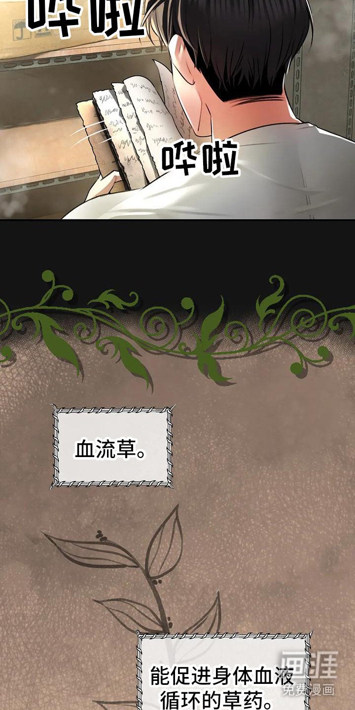 第6章：血流草