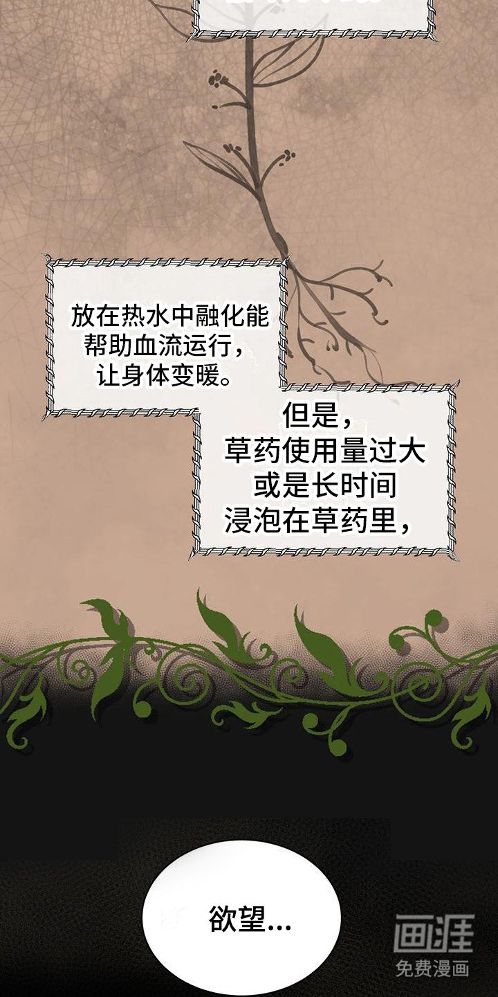 第6章：血流草