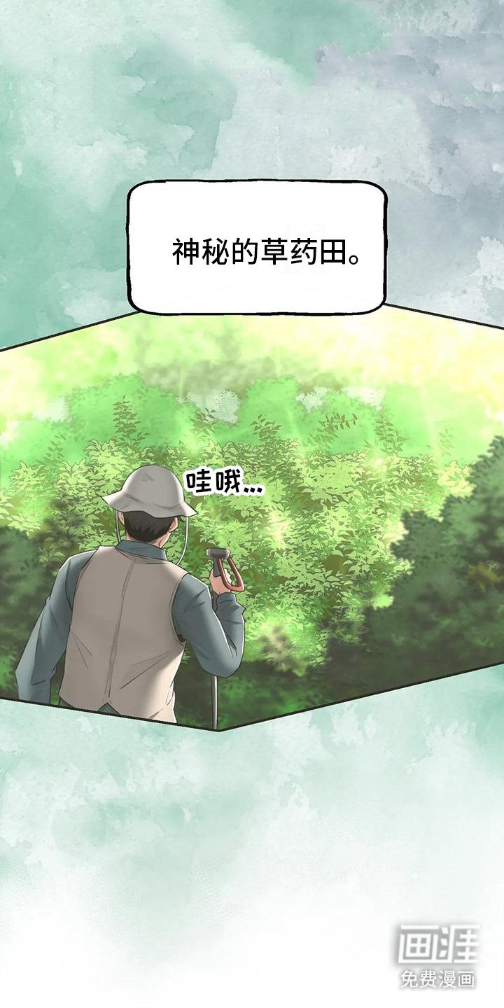 第8章：药材图鉴