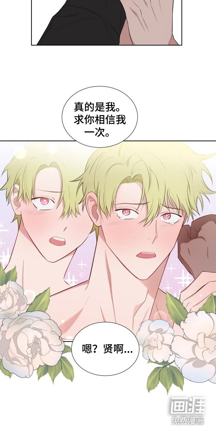 第4章：解释