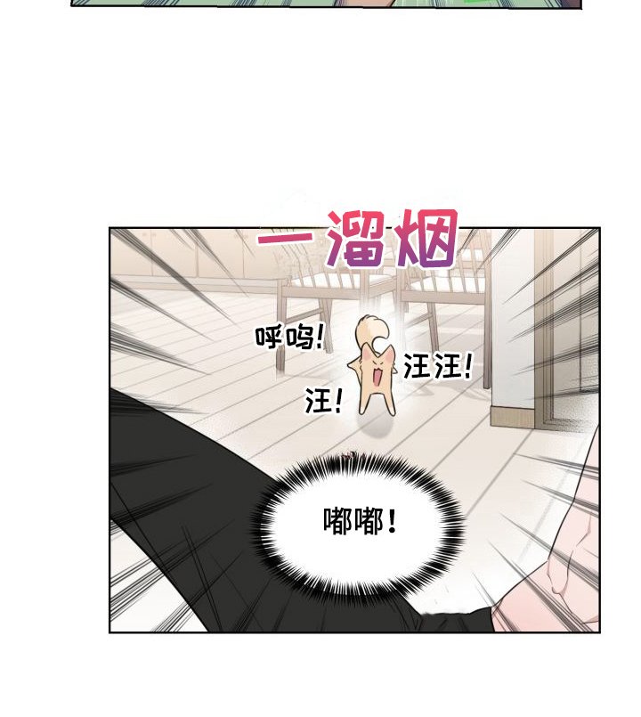 第4章：解释