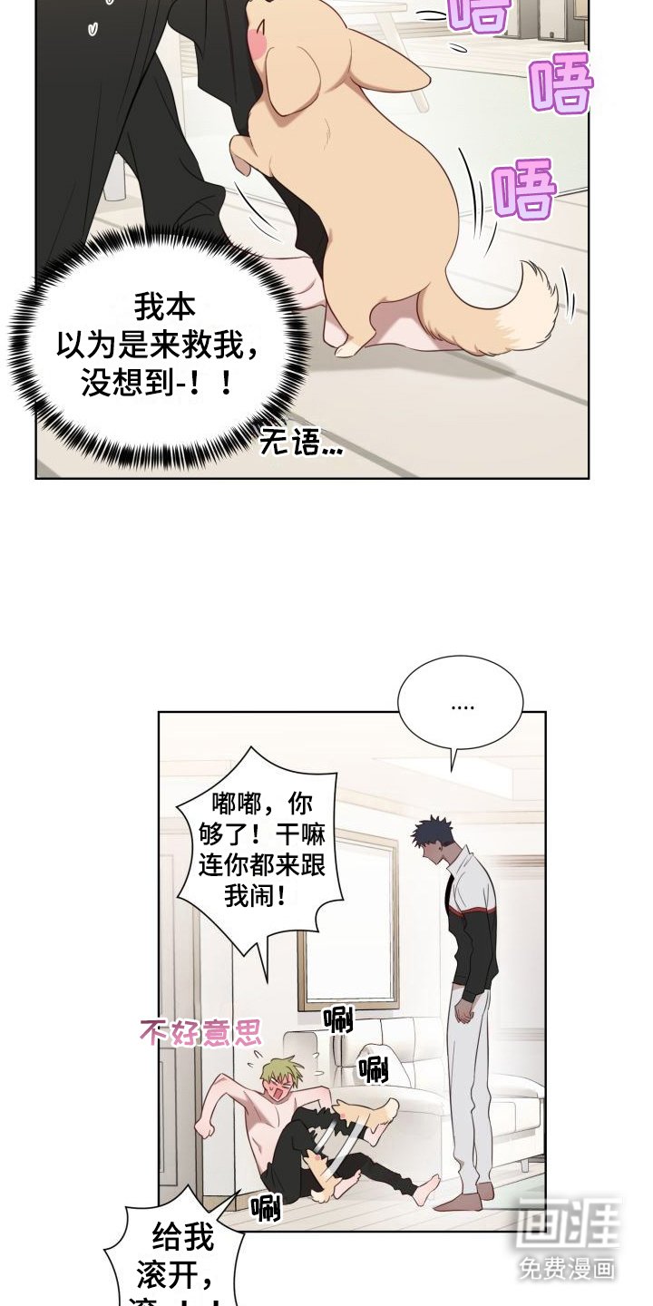 第5章：怂恿