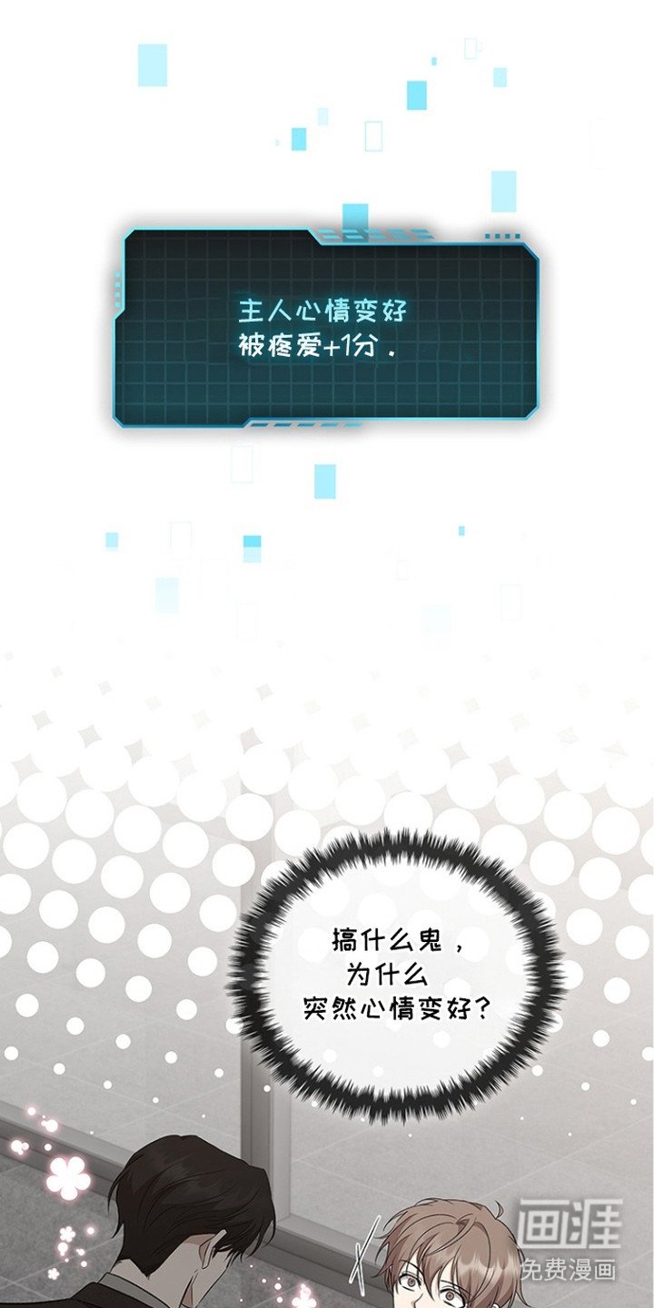 第13章：新装备