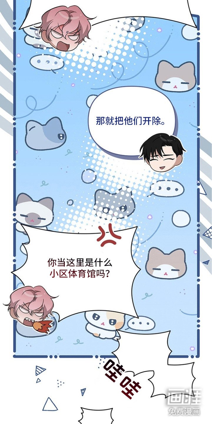 第14章：阵容豪华