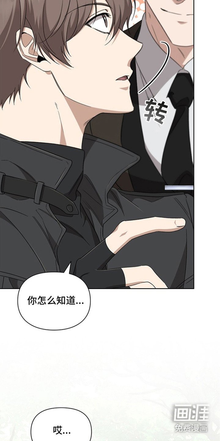 第19章：洞穴