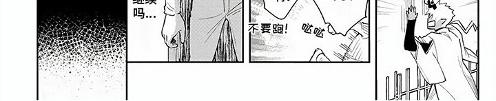 第5章：名字