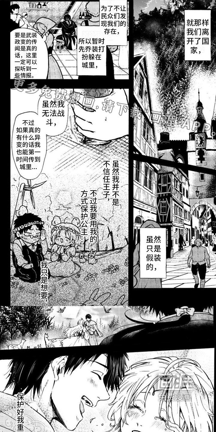 第15章：见证
