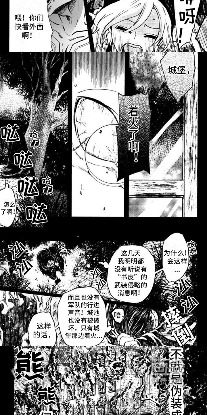 第15章：见证