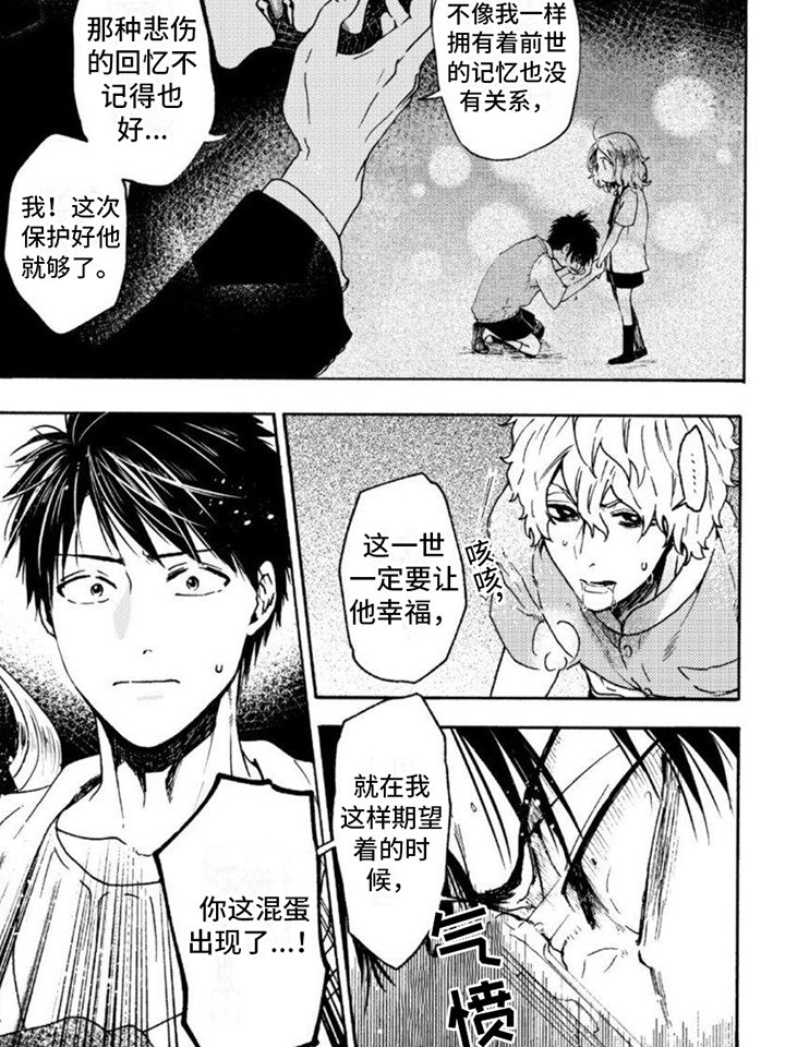第15章：见证