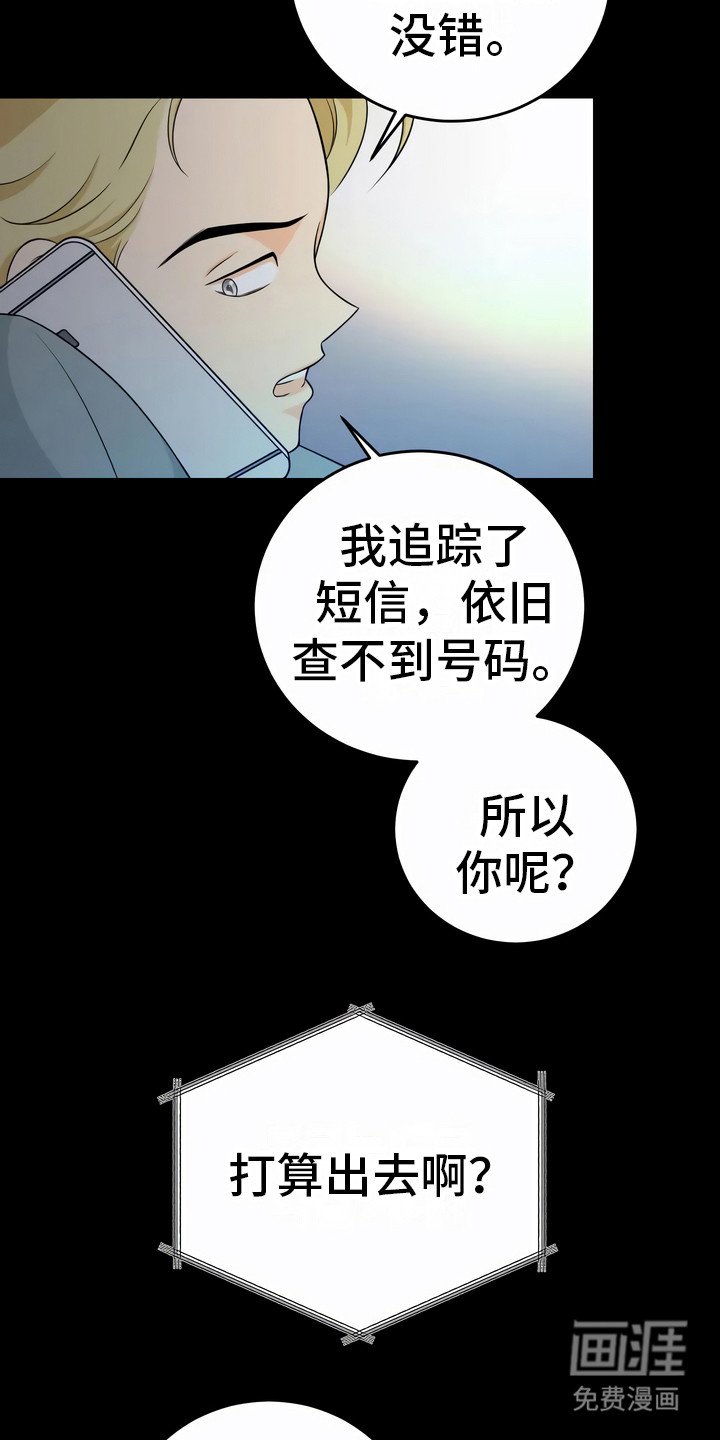 第11章：诱饵