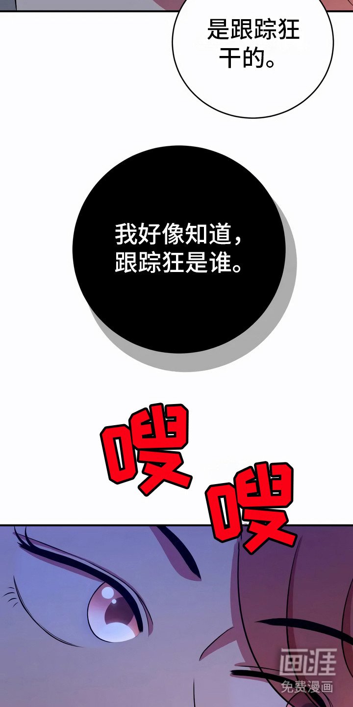 第21章：嫌疑人
