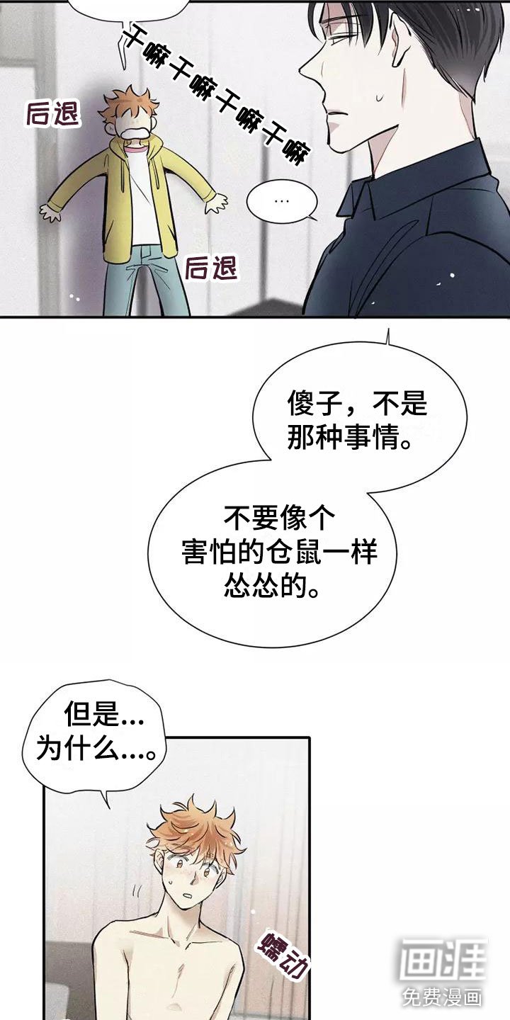 第14章：打破规律