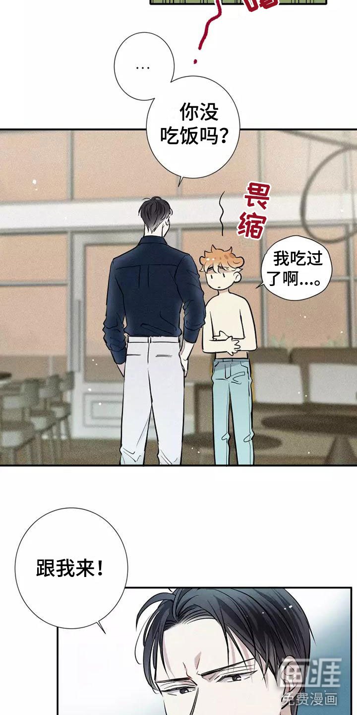第14章：打破规律