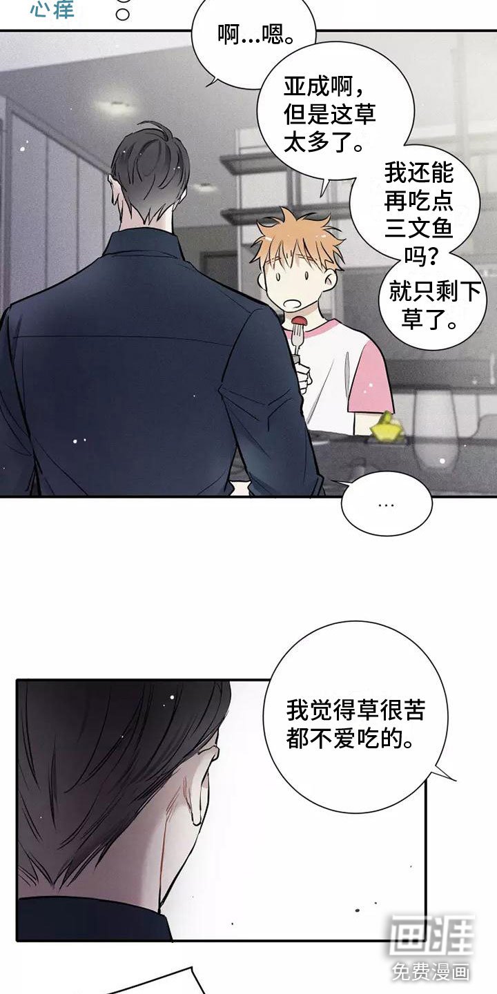 第15章：习惯