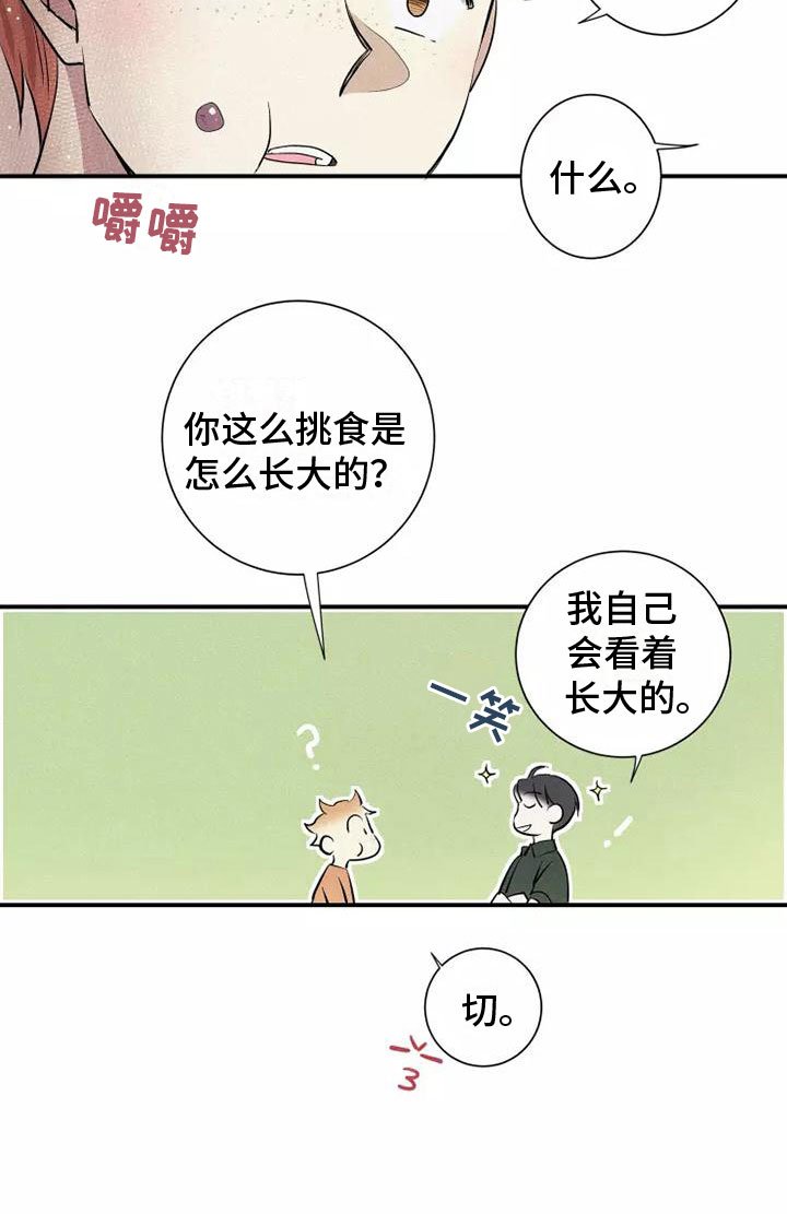 第16章：西餐