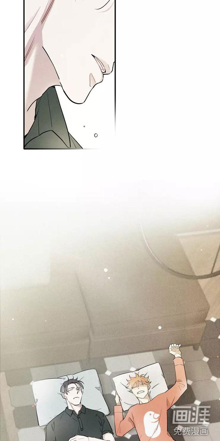 第17章：心动