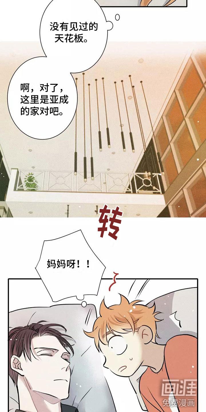 第17章：心动