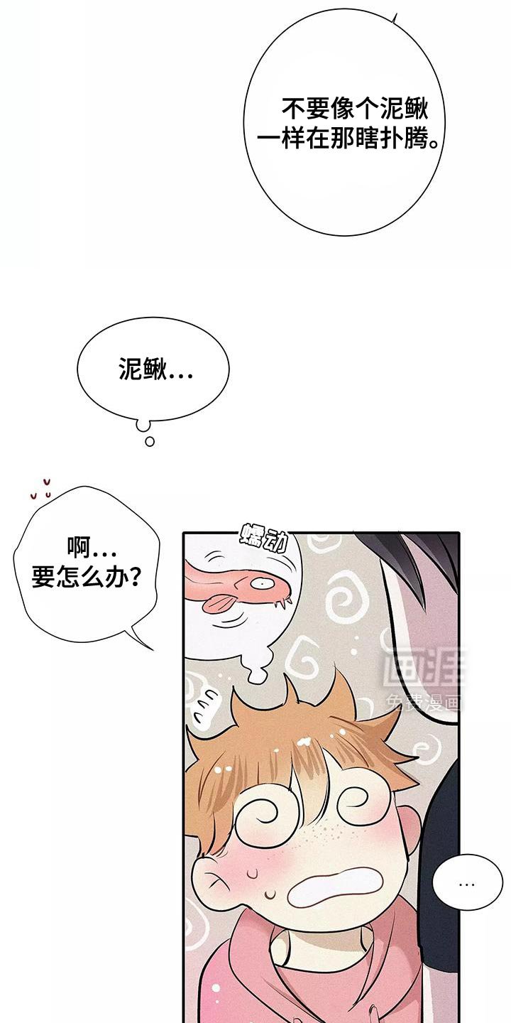 第26章：泥鳅