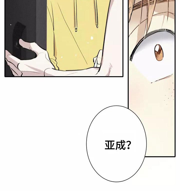 第3章：陪你玩