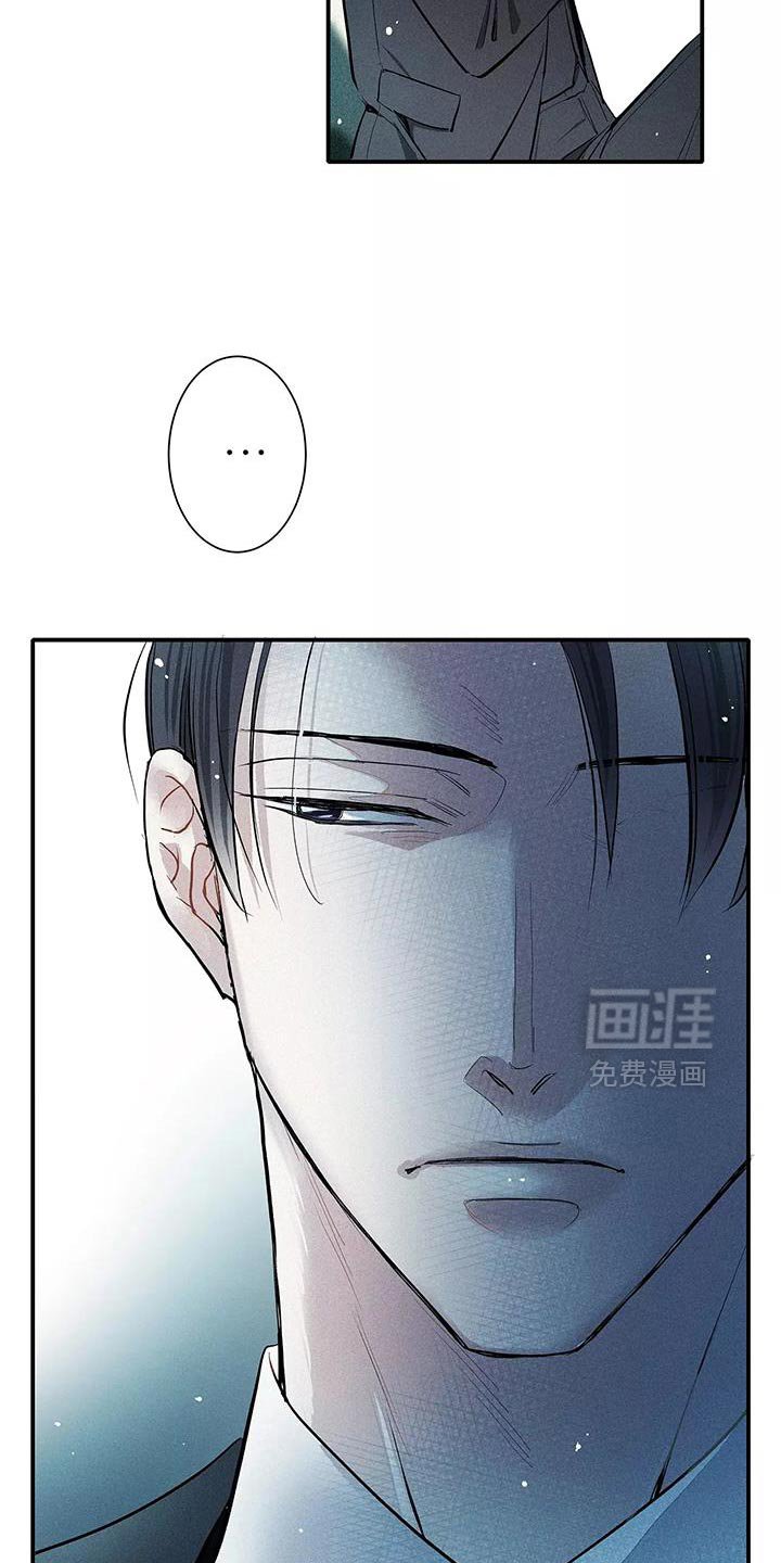 第30章：有条件的