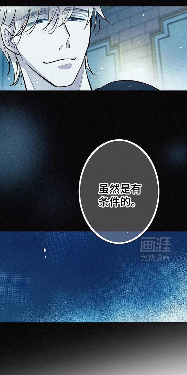 第30章：有条件的