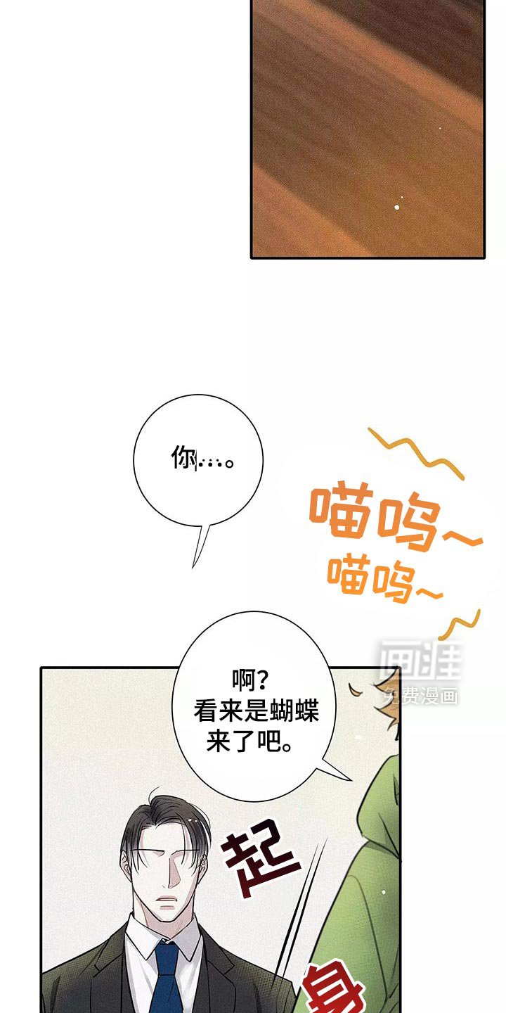 第33章：善良