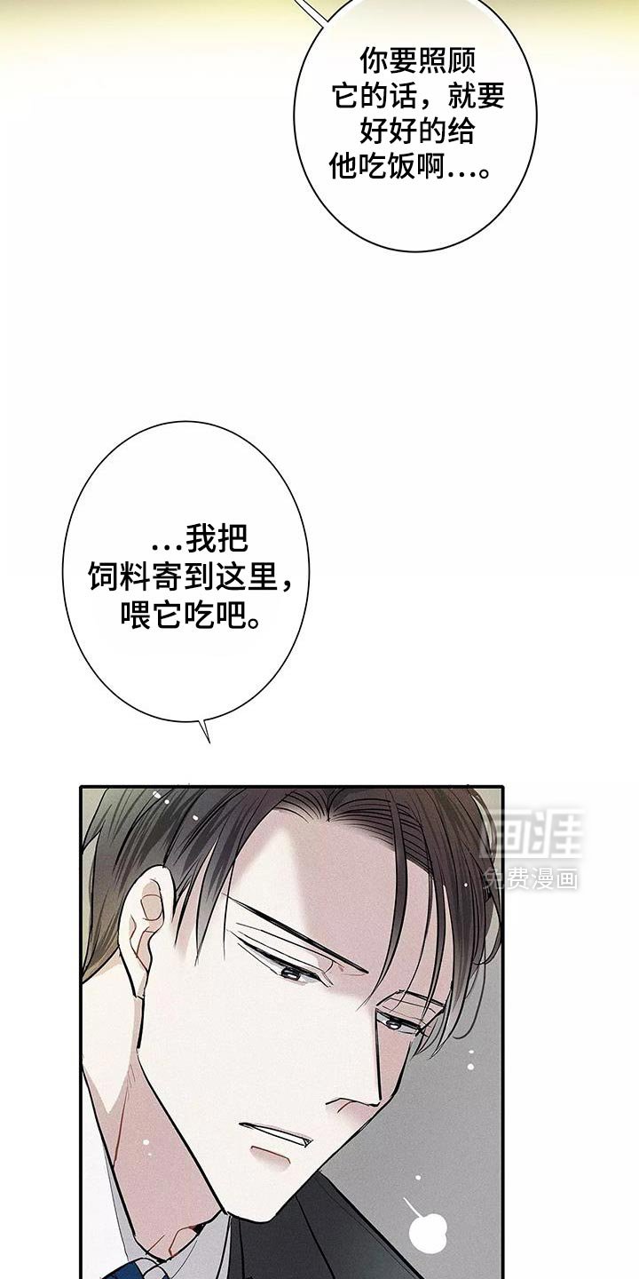 第33章：善良