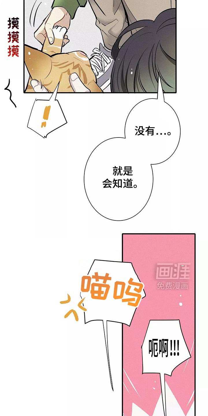 第33章：善良