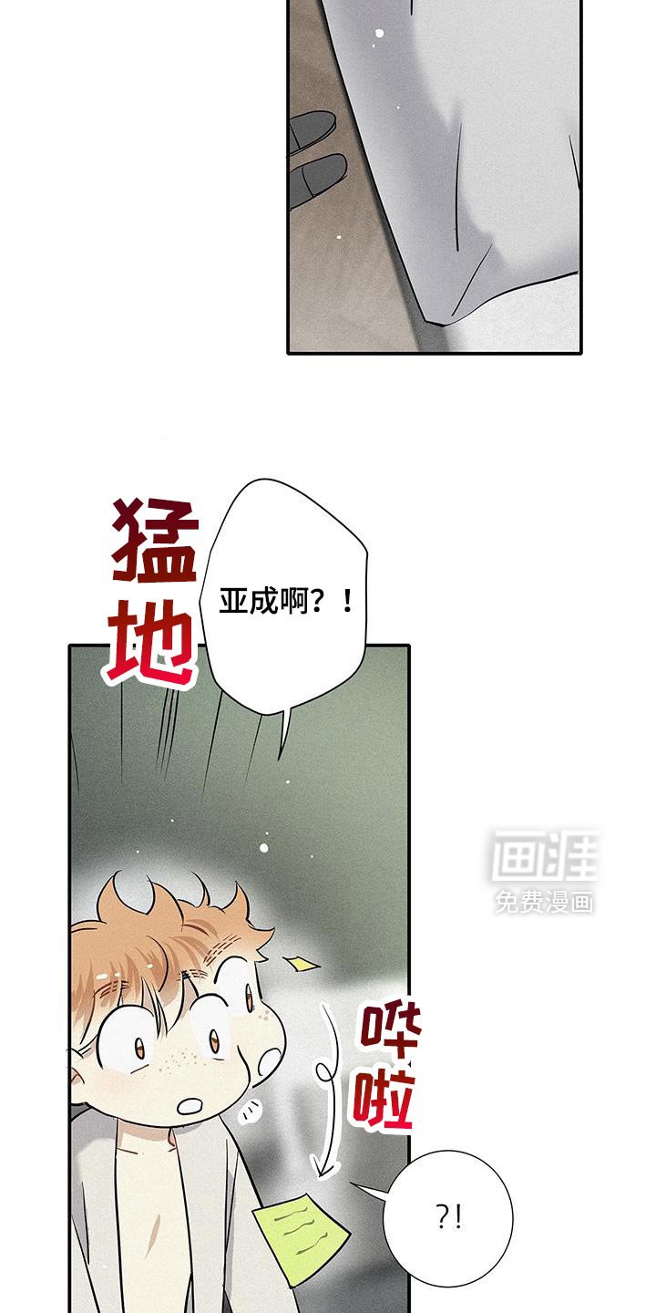 第37章：我不想说慌