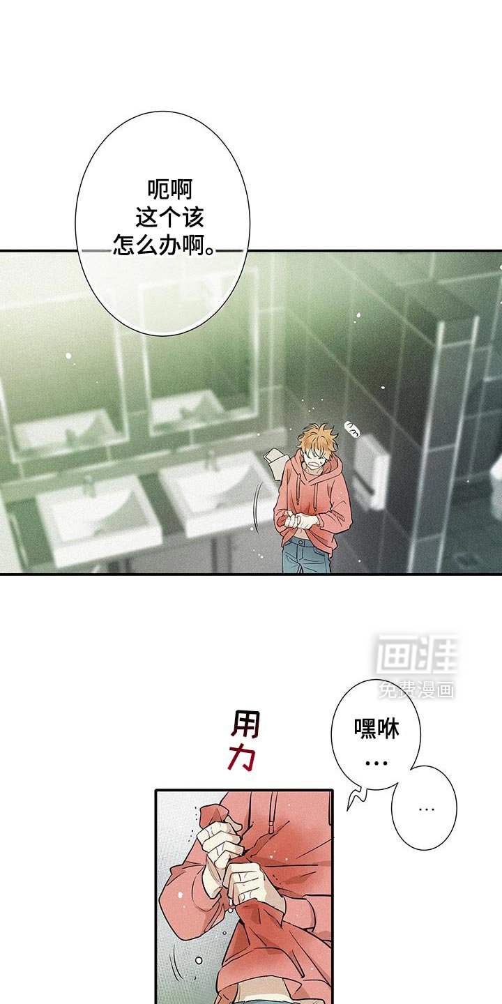 第43章：错综复杂