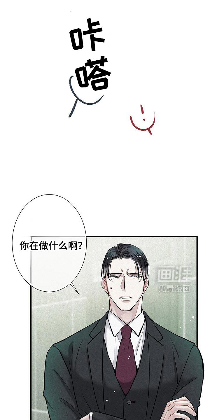 第44章：太帅了