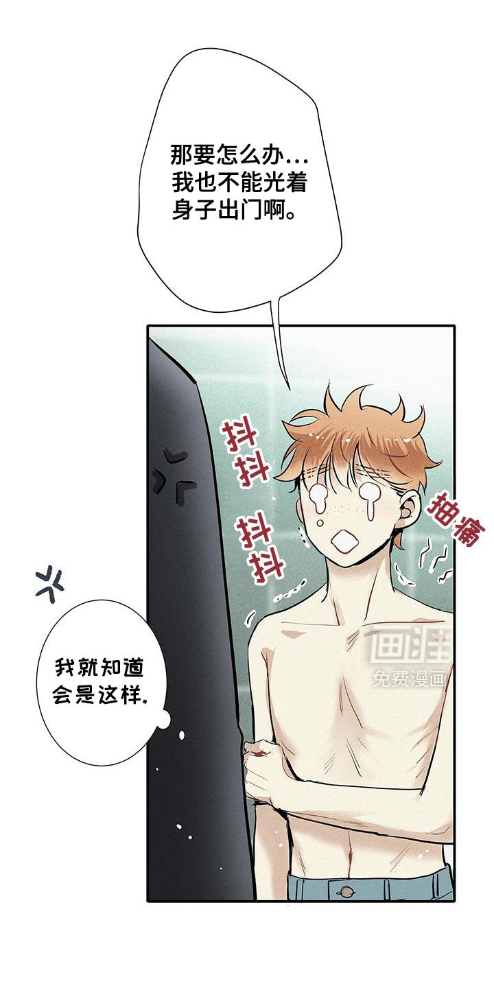 第44章：太帅了