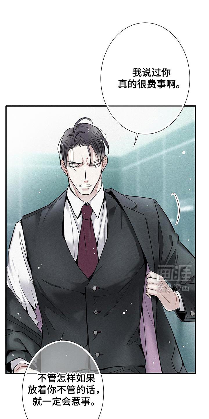 第44章：太帅了