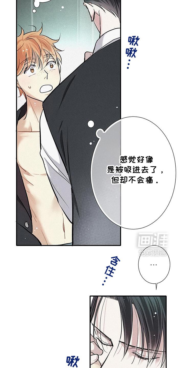 第46章：那你试试看吧