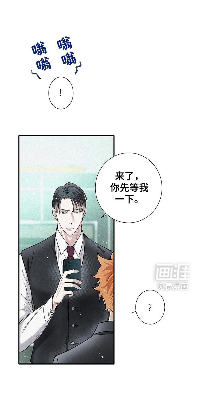第46章：那你试试看吧
