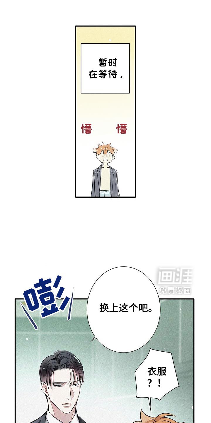 第46章：那你试试看吧