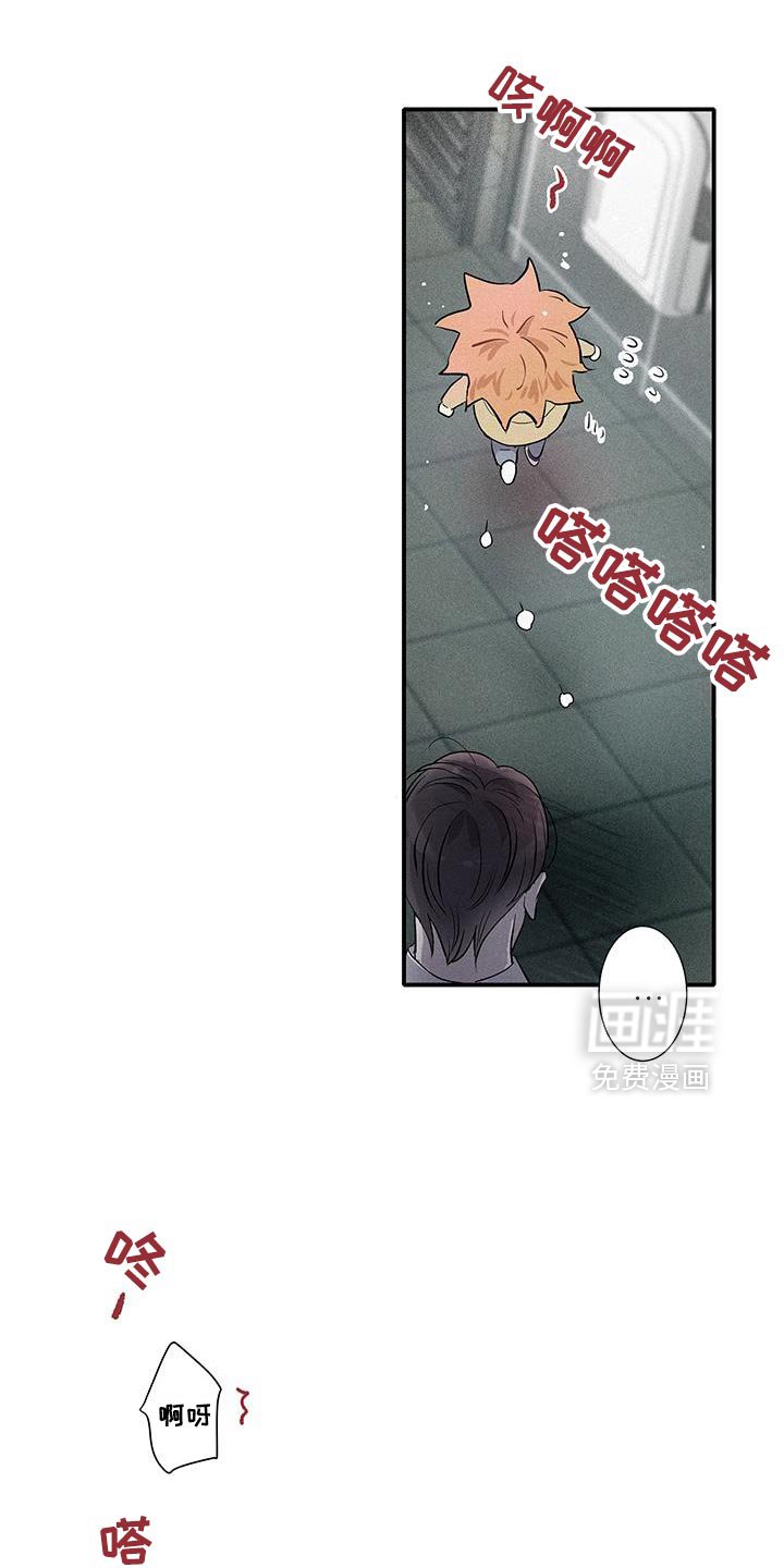 第46章：那你试试看吧